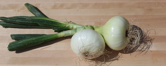 basics365: Onions