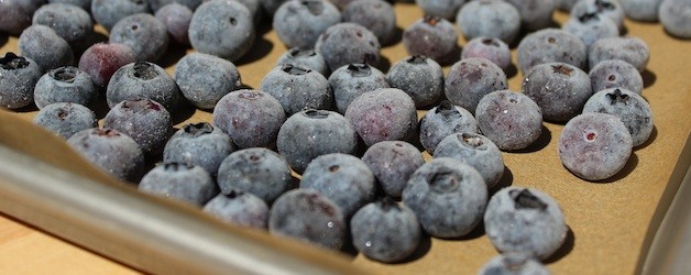 inspiration365: Freezing Farmers Market Bounty