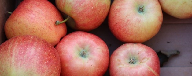 basics365: Apples