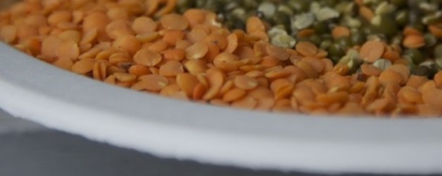 basics365: Lentils