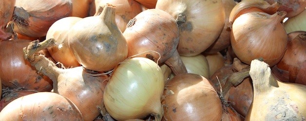 basics365:  Summer Onions
